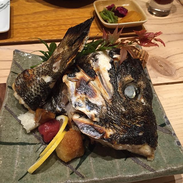 마쯔가제 - 서울 강남, 삼성-스타필드코엑스몰 | 맛집검색 식신
