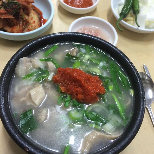 제주할매순대국밥 - 부산, 영도구 태종대 | 맛집검색 식신