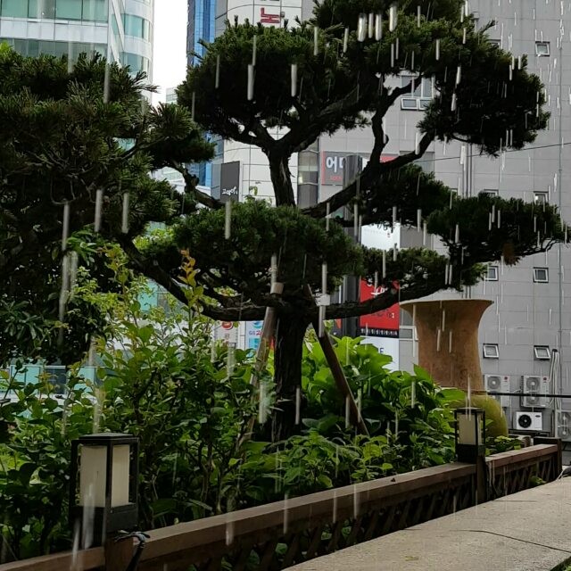 place_img