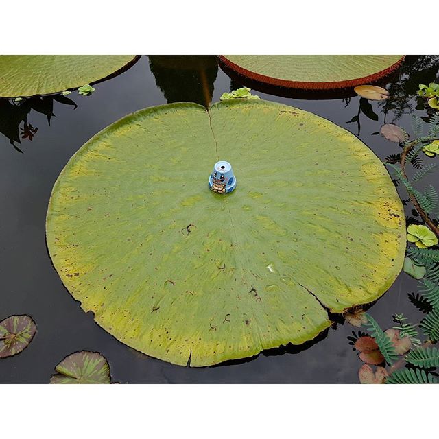 place_img