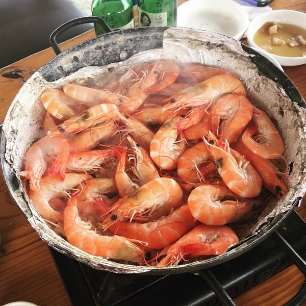 서브2
