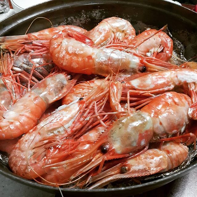 서브2