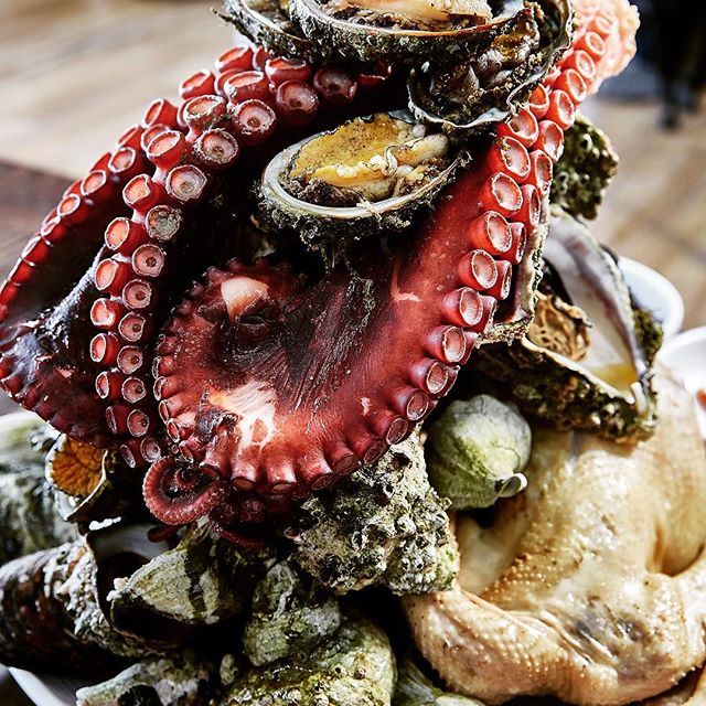 출처 : 신비섬 인스타그램 검색 결과