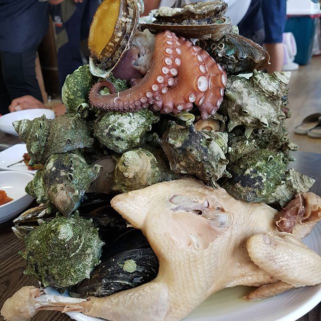 출처 : 신비섬 인스타그램 검색 결과