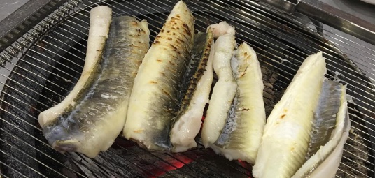 싱싱오동도산아나고꼼장어숯불구이