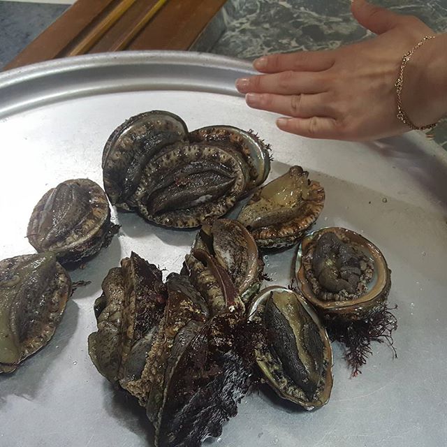 서브1