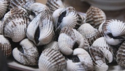 벌교꼬막정식 매장 이미지