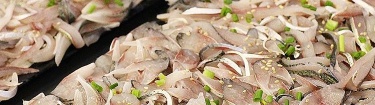 여름철 물놀이 장로소 좋은 거창 맛집 25곳