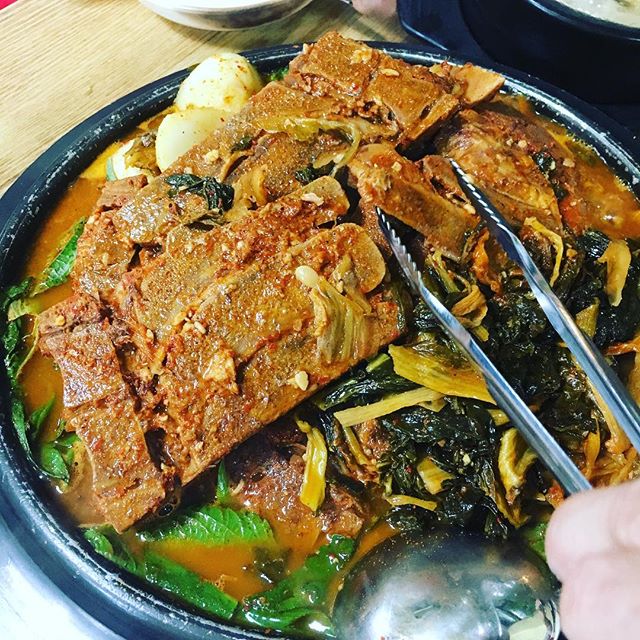 출처 :도마다리 인스타그램 검색 결과 