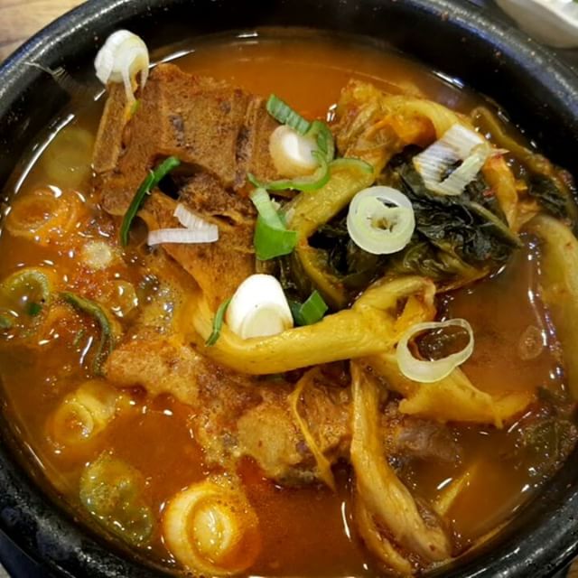 출처 :도마다리 인스타그램 검색 결과 