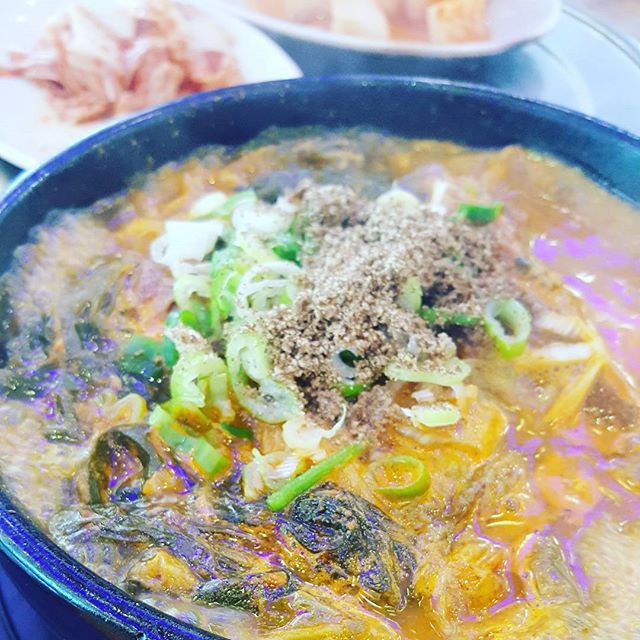 출처 :박가뼈다귀 인스타그램 검색 결과