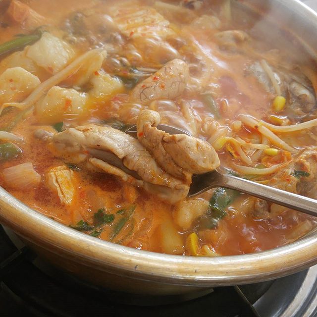 출처 :진부령황태촌 인스타그램 검색 결과 