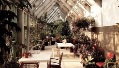 마이알레 매장 이미지