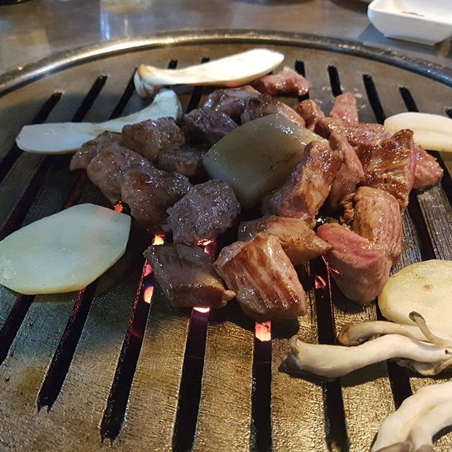   출처 : 강쇠네 인스타그램 검색 결과
