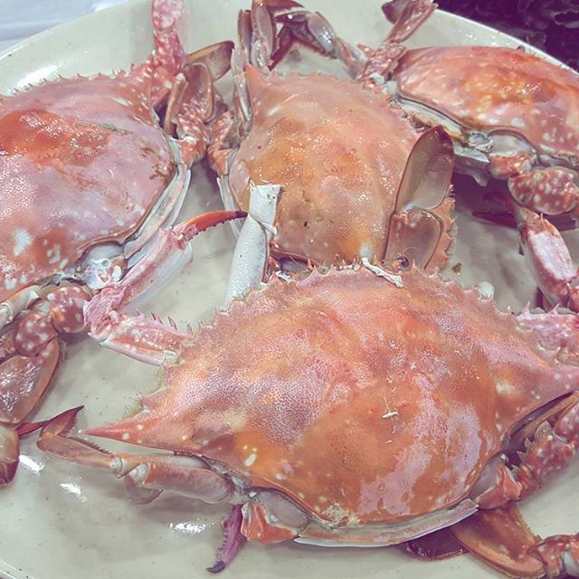 출처:88수산인스타그램검색결과 