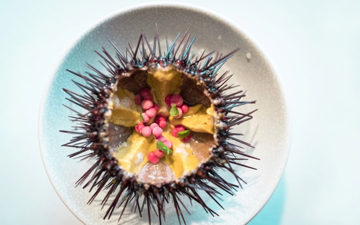 출처: 'BOB'님의 블로그