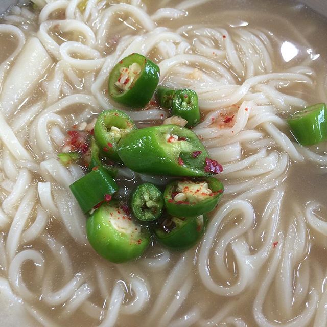 서울 광장동 칼국수/국수 맛집 BEST 5 | 식신