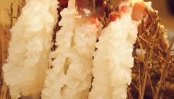 Hanasaki(하나사키) 매장 이미지