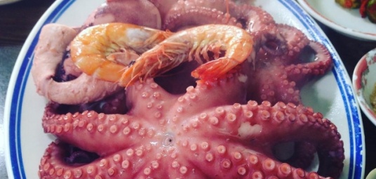 엉터리식당