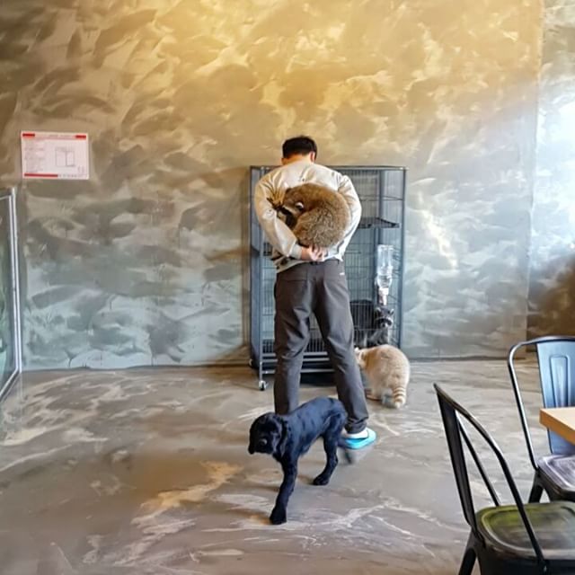 서브1