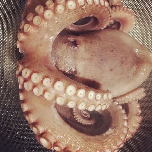 출처:당진수산인스타그램검색결과 