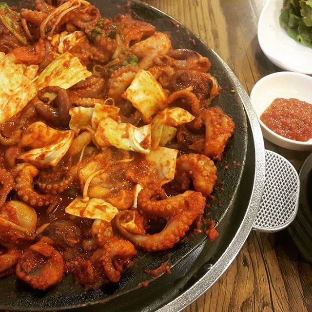 출처:신화쭈꾸미인스타그램검색결과 