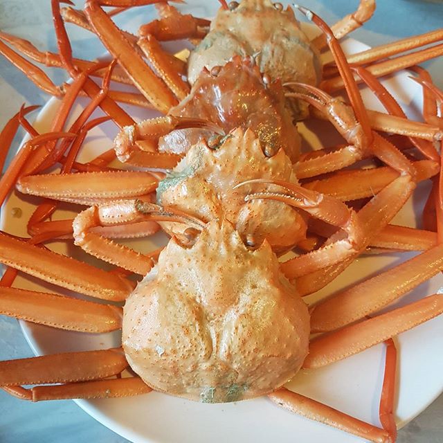 서브2