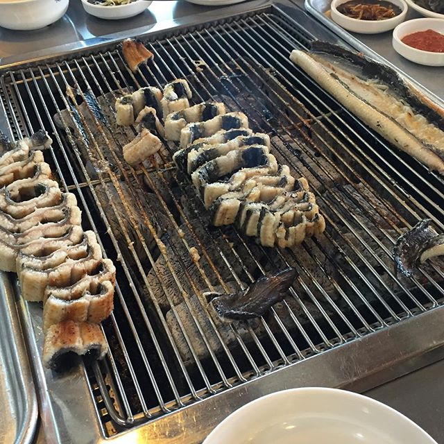 출처:장수천한방민물장어인스타그램검색결과