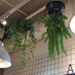 place_img