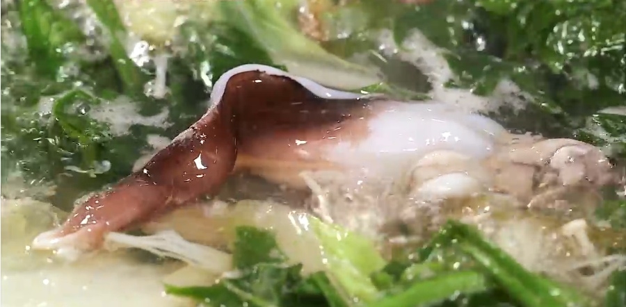 서브1