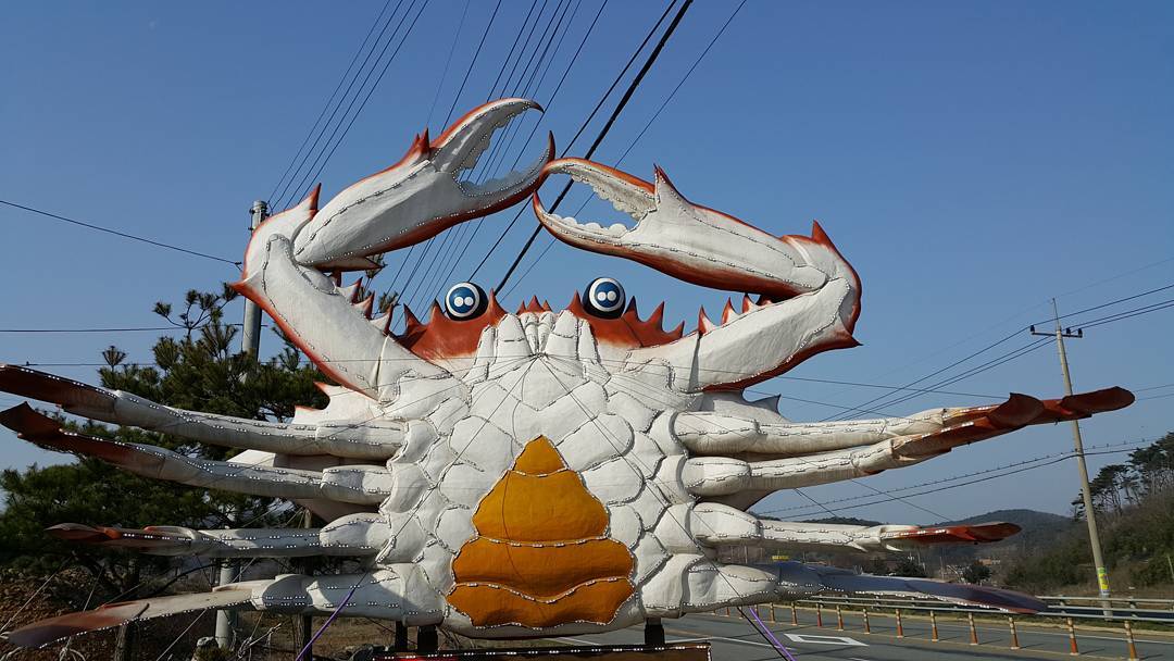 출처: 안면도해비알꽃게1번지 인스타그램 검색 결과