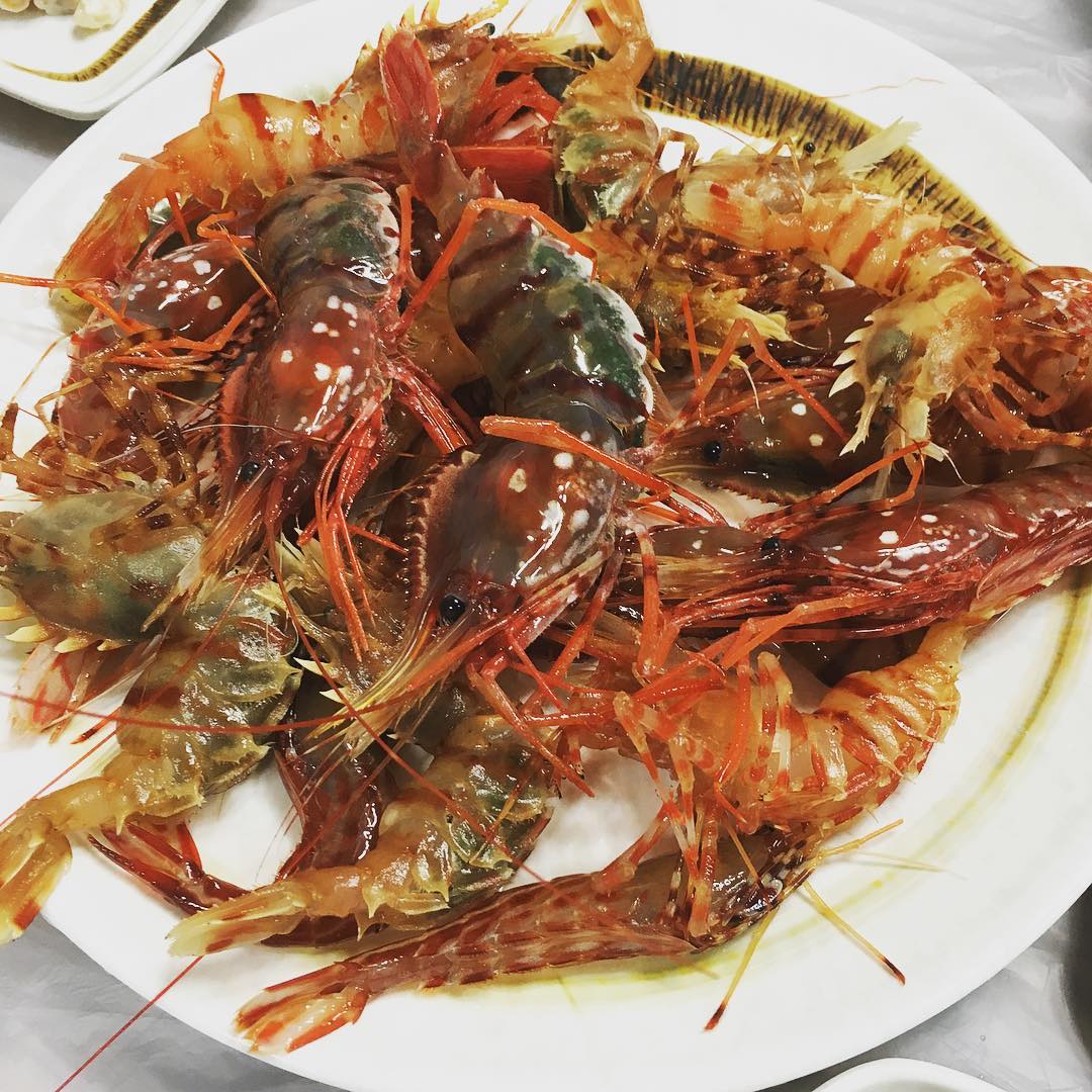 출처 : 천금수산 인스타그램 검색 결과