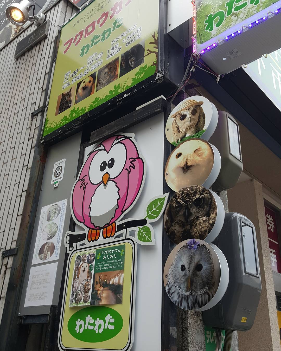 서브2
