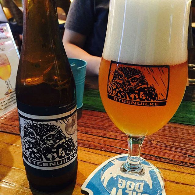 출처:링고인스타그램검색결과