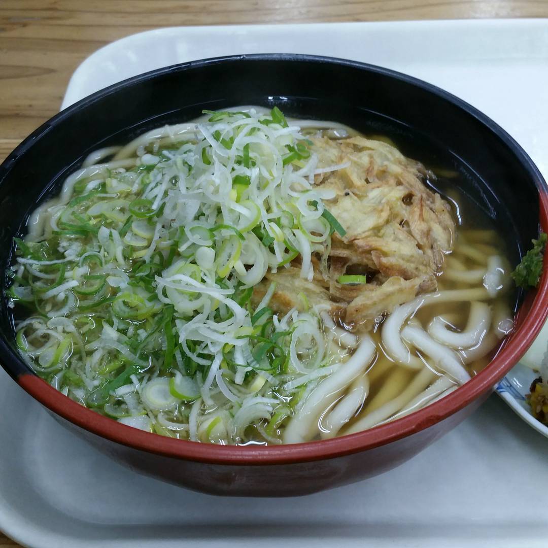 킷쵸우동 (きっちょううどん) - 일본, 미야자키 | 맛집검색 식신