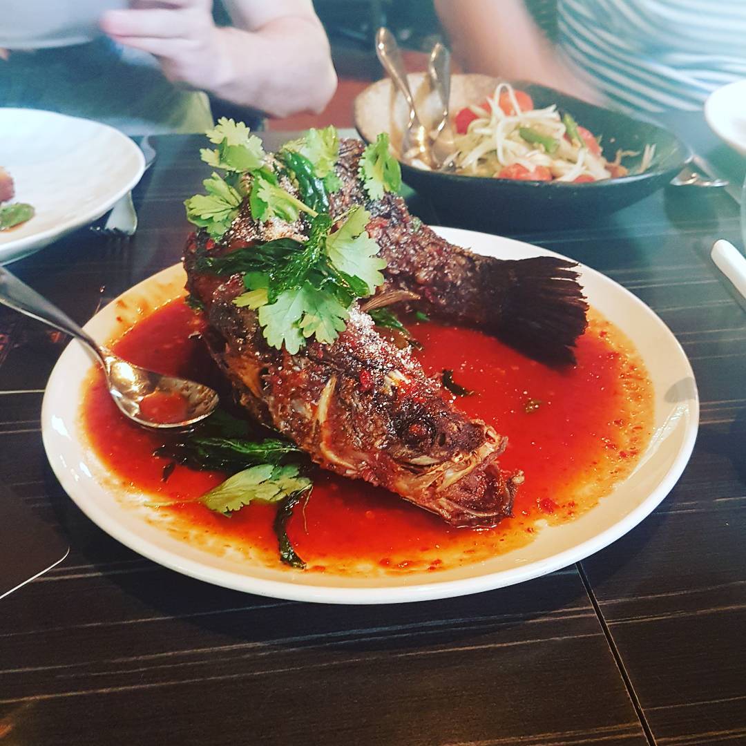 서브2
