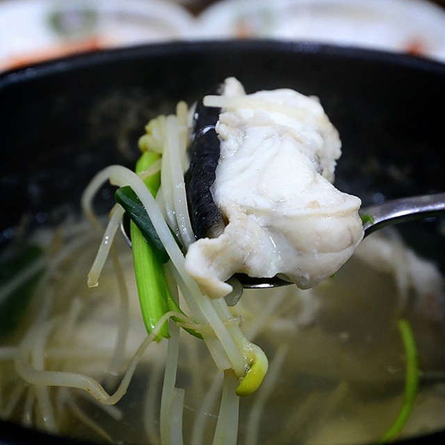 출처 : 다미복국 인스타그램 검색 결과