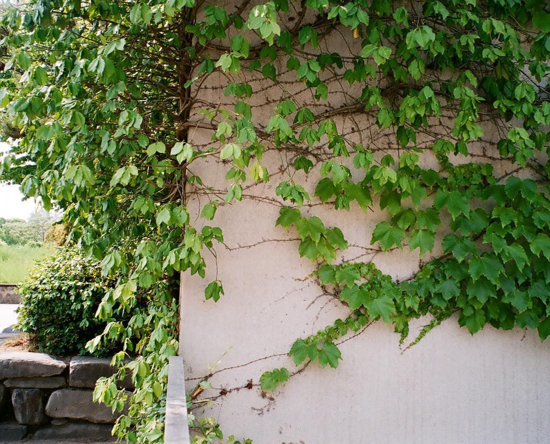 place_img