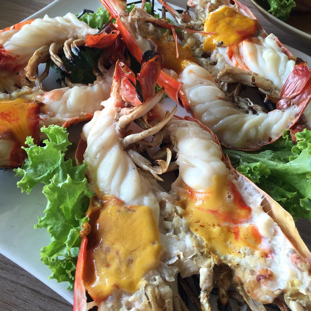 서브2