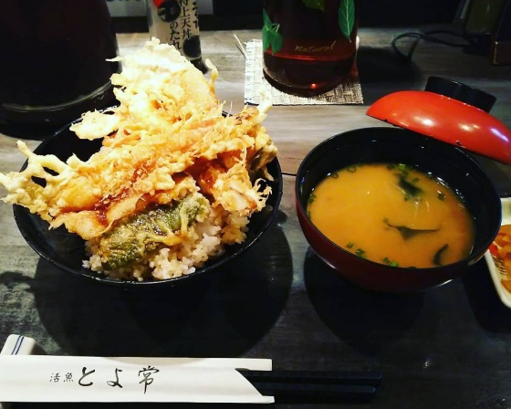 토요츠네 (Toyotsune) 