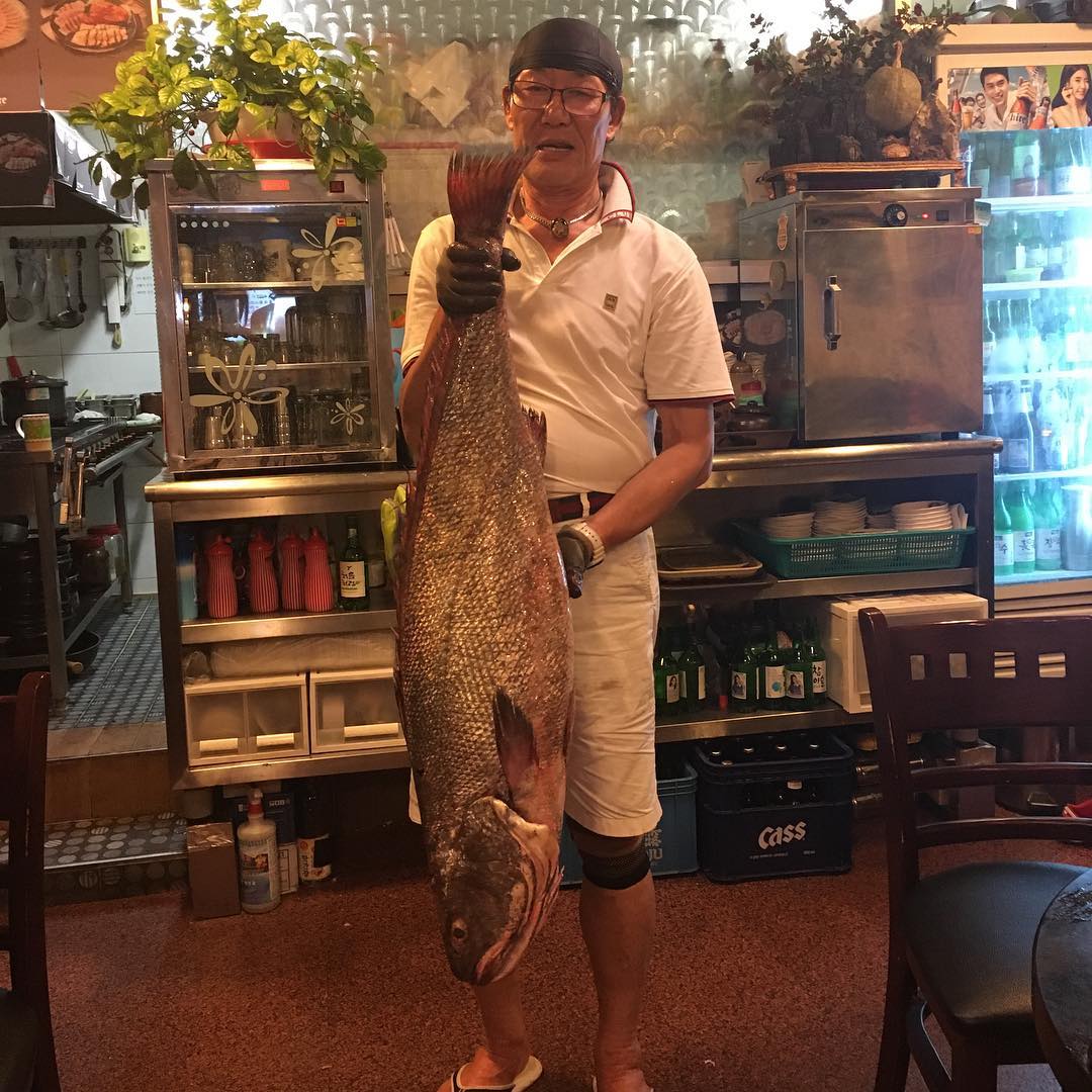 서브1