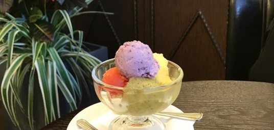 카페 트로피크