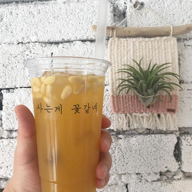 월정리갈비밥|월정/평대/세화맛집, 고기맛집