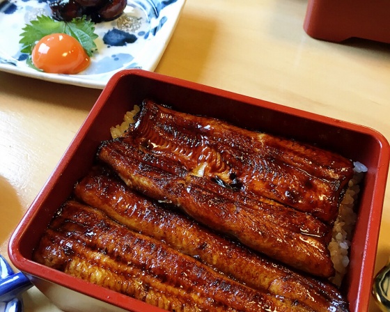 토모에이 (うなぎ亭 友栄) 