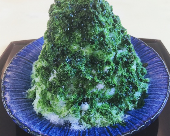 치모토 (ちもと) 