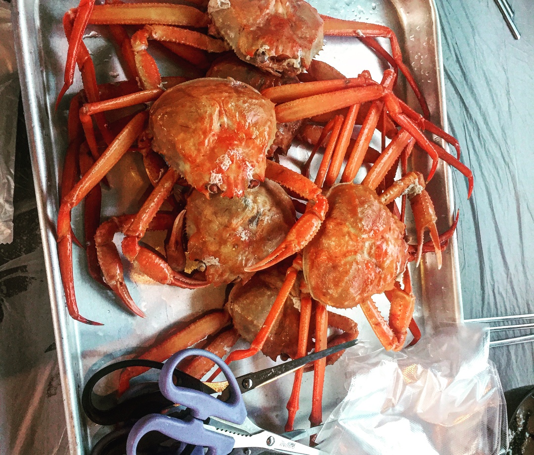 출처: 광성홍게장군 인스타그램 검색 결과	