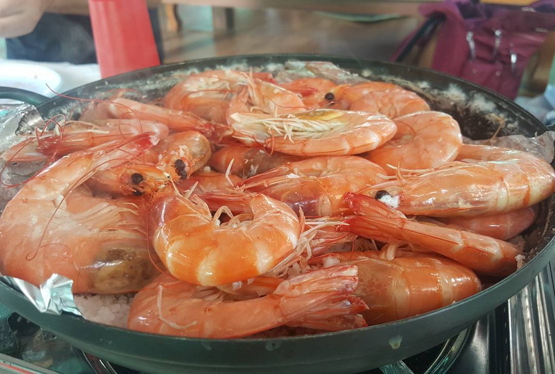 서브2