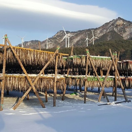 서브1