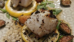 Aroma Meze 매장 이미지