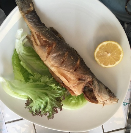 Happy Fish 